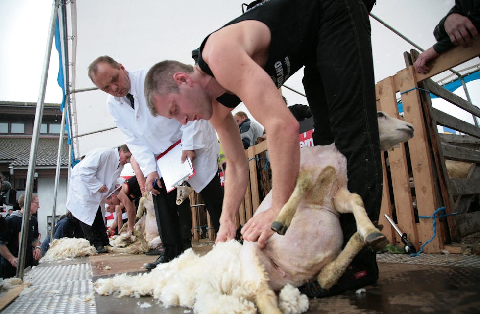 Blant landets beste. Inge Morten Tronstad i aksjon under tidlegare tevling.
Arkivfoto: Jon Edvardsen