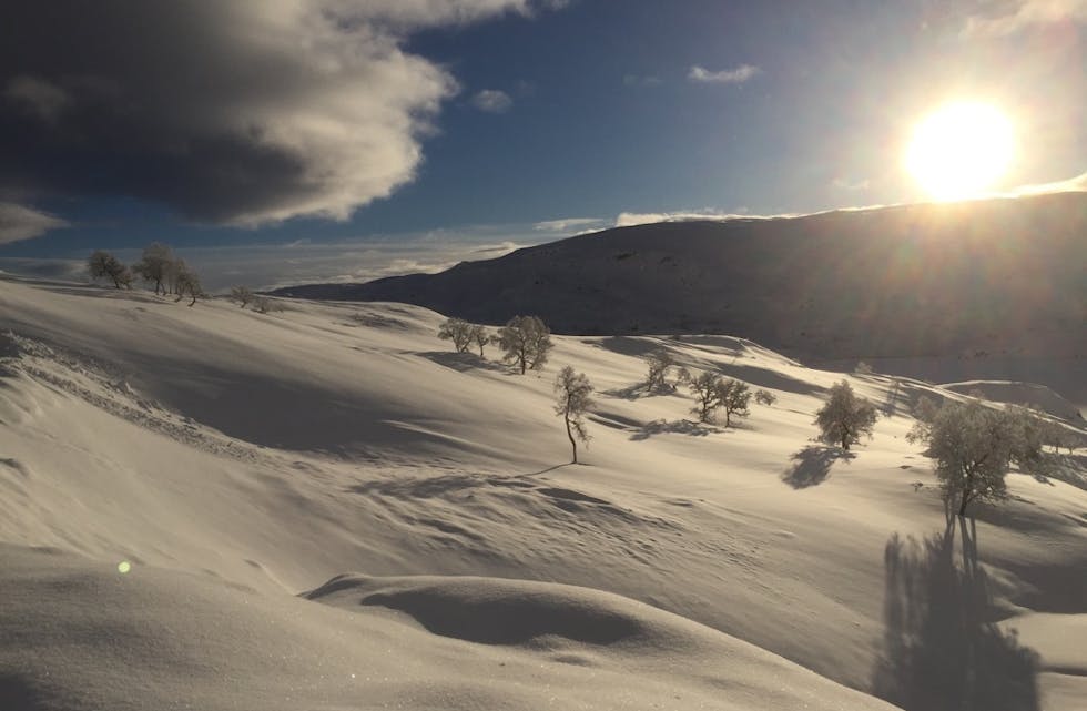 Vinter på Haukelifjell.
Foto: Roger Markhus