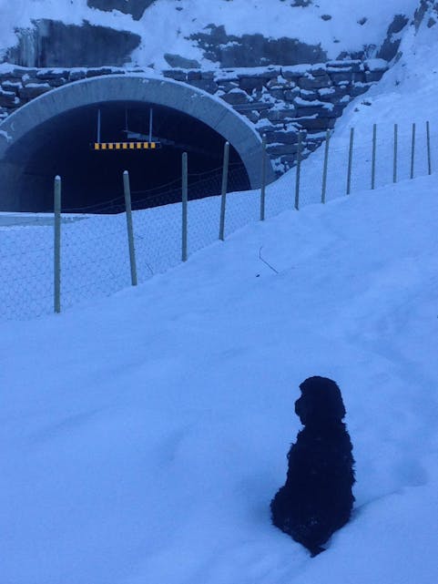 — Lurer nå på eg når denne Stordalstunnelen skal åpnast?              
Foto: Sigrid Løvereide