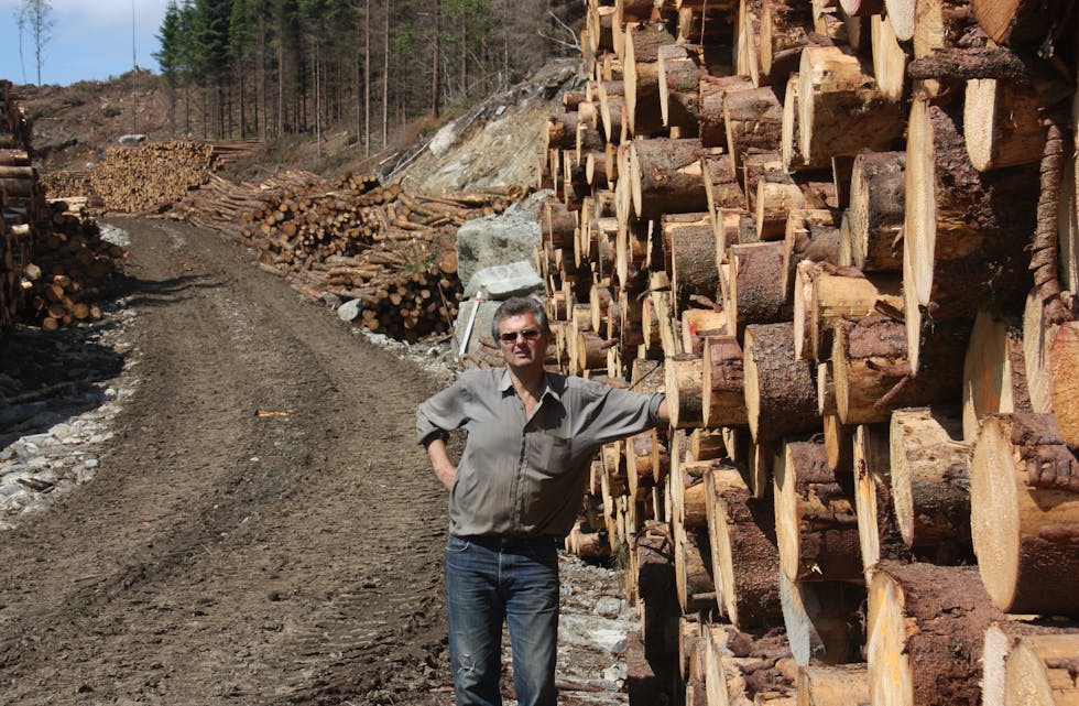 Skogeigar Eivind Vik i Ølen har tatt ut store mengder tømmer.
Foto: Irene Mæland Haraldsen