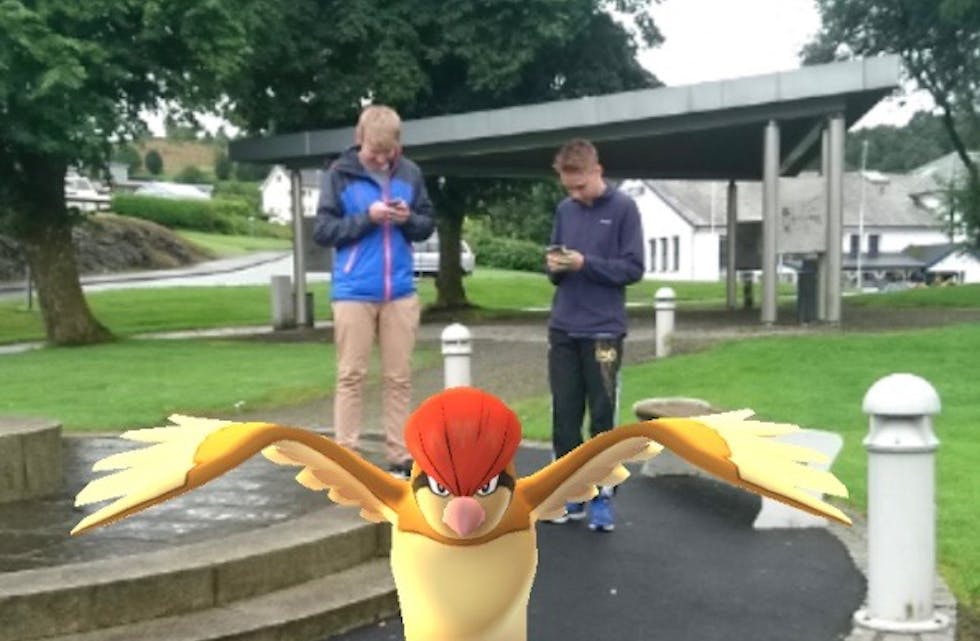 Virtuelt i Joakari-parken.Tarjei Klungland (15) og Lewis Paul Hoggett (16) jaktar Pokémon i Ølen. Foto: Sirianne Vikestad