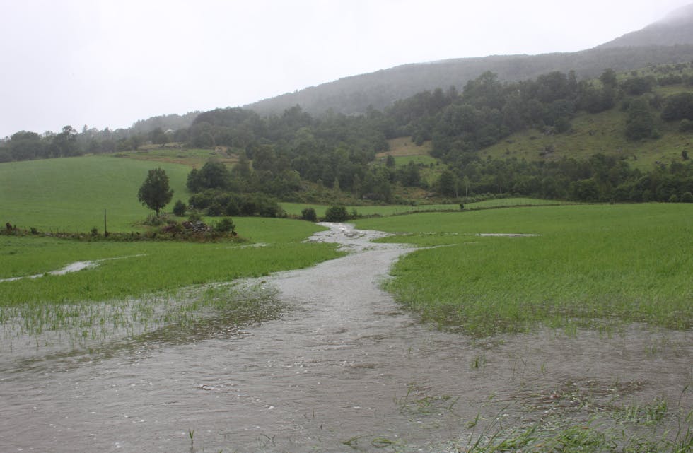 Ei ny elv oppstod på denne bøen på Tesdal i Litledalen under det kraftige regnet tidleg i august i år. I framtida vil slikt regnvêr skje hyppigare, meiner ekspertar. 
Arkivfoto: ARNE FRØKEDAL