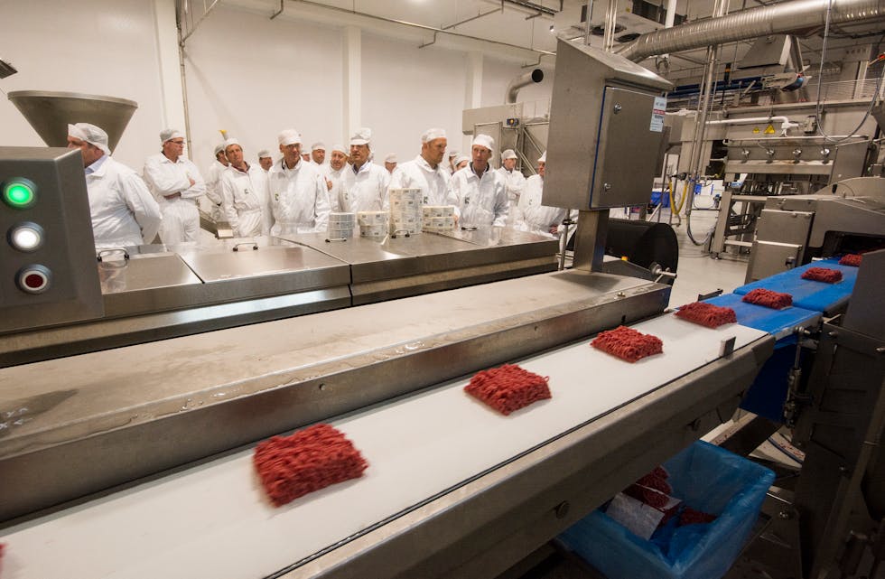 Den nye produksjonslinja lagar 160 pakkar kjøttdeig i minuttet.
FOTO: TORSTEIN NYMOEN