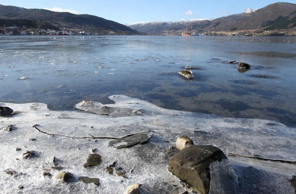 Ølsfjorden gjer framsteg når den økologiske tilstanden får karakteren god i ei undersøking av Rådgivende Biologer AS. Den kjemiske tilstanden er framleis raud med merkelappen ikkje god etter EU sin standard. 
Foto: Jon Edvardsen. 