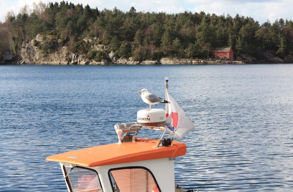 Slo seg ned på båten ved kaien på Utbjoa.
Foto: Ken Raymond Blegeberg
