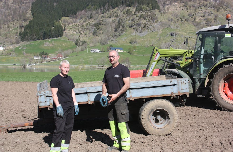 Anita og Gabriel Hodne i Etne er godt i gang med steinplukking heime på garden ved Stordalsvatnet.
Foto: Irene Mæland Haraldsen