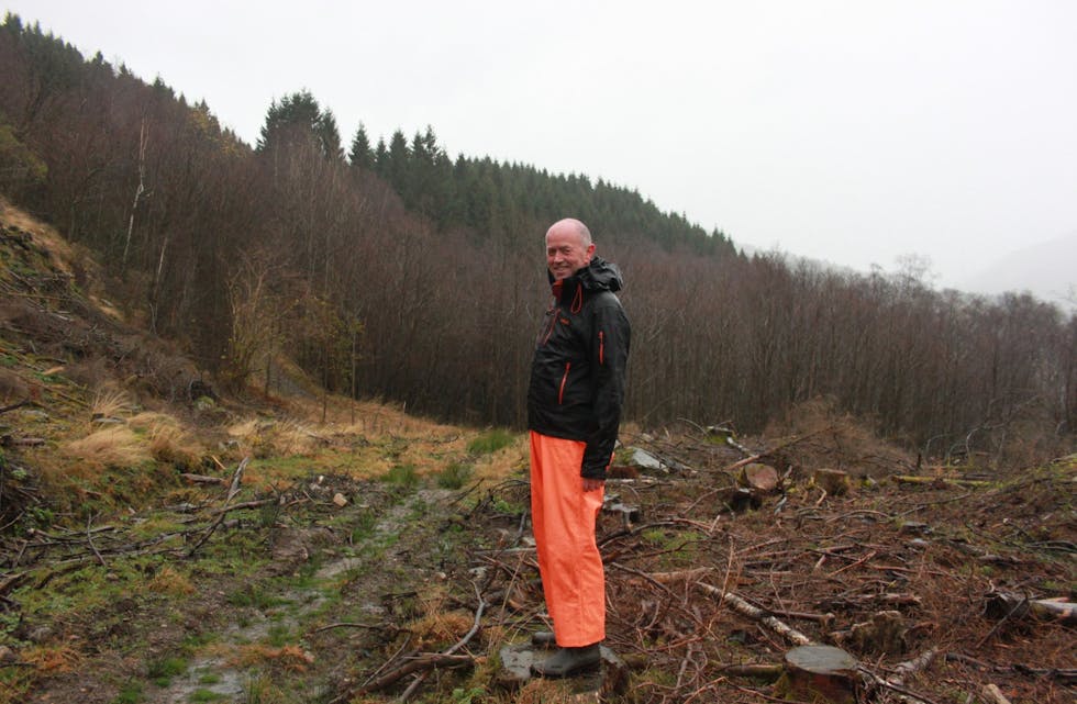 Sigmund Havn har vore skogambassadør både for Vindafjord og Tysvær i prosjektet «Planting av skog på nye areal som klimatiltak».
Arkivfoto: Arne Frøkedal