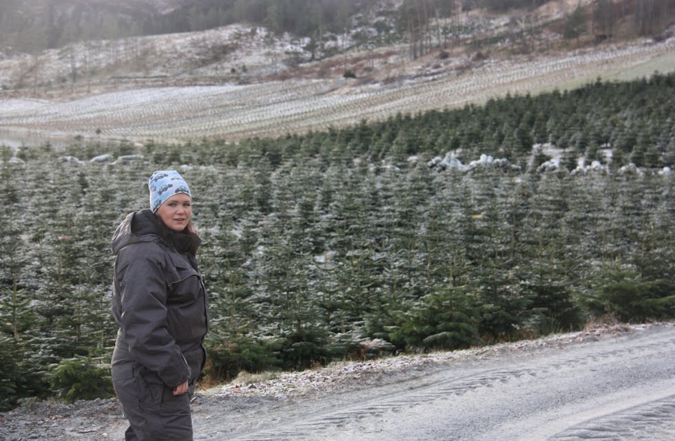 Gudrun Margrete Dyrseth har ansvar for drift av 500 mål med juletre på Svandal Juletregard.
Foto: Irene Mæland Haraldsen