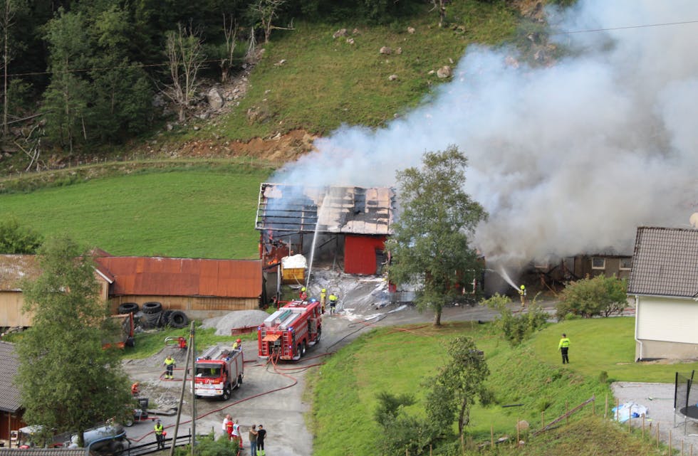 Rundt 35 ungdyr brann inne, men mjølkekyrne kom sege ut.
Foto: Øystein Silde Frønsdal