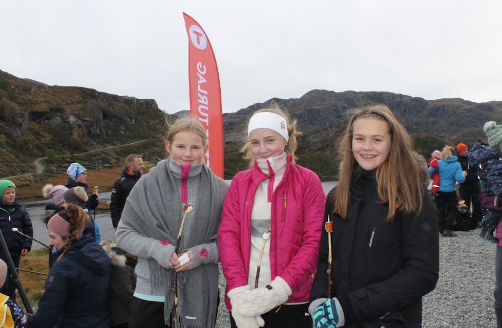 Desse jentene frå Etne koste seg på aktivitetsdagen, men synest rebusen var enkel å gjennomføre.
F.v. Sofie Dalseid (13), Nora Haug Saltnes (13) og Camilla Håland (13).
Foto: Kristina Haugen Moe