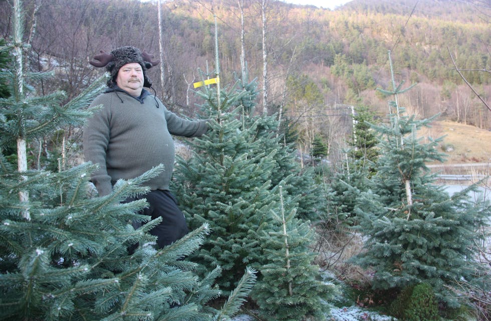 Leif Bjarne Olsen frå Ølmedal sel årleg rundt 1.500 juletre på marknad i Haugesund.
Foto: Irene Mæland Haraldsen
