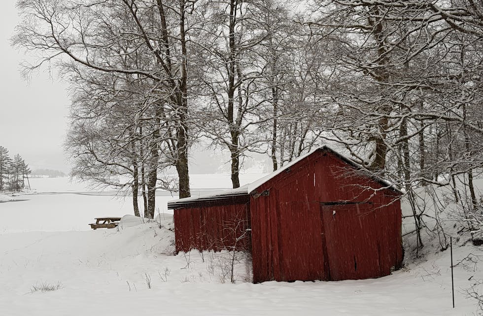 Vakkert vinterleg landskap. Frå Fjellgardane i Vikedal.
Foto: Wenche Sandbekken Lilleland