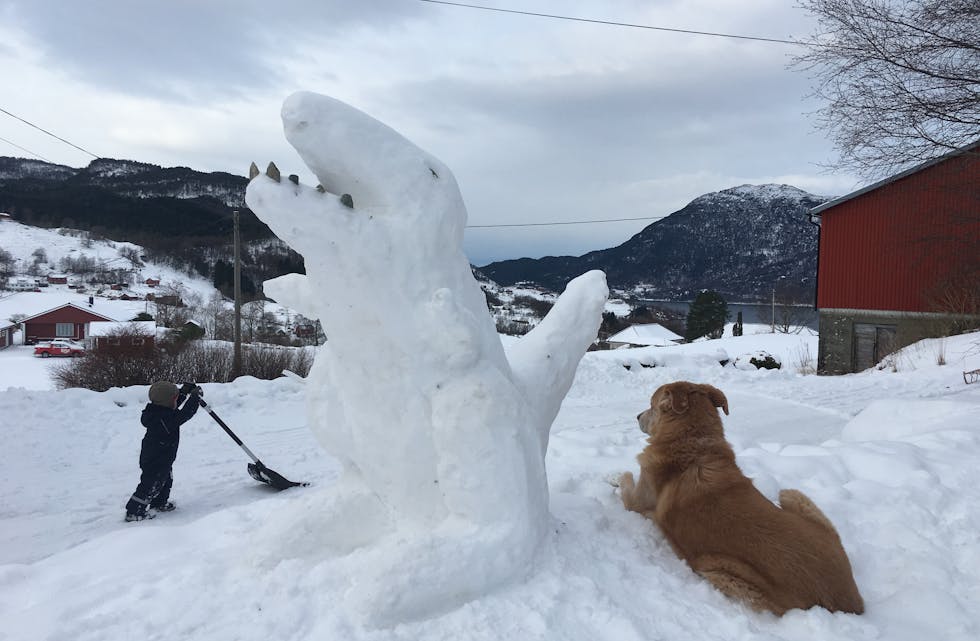 Full aktivitet på Sørstranda i helga. Først blei det bygt snødinosaur, så måka vesle Lukas (2) snø, mens hunden passa på. 
Foto: Linda Giersch 