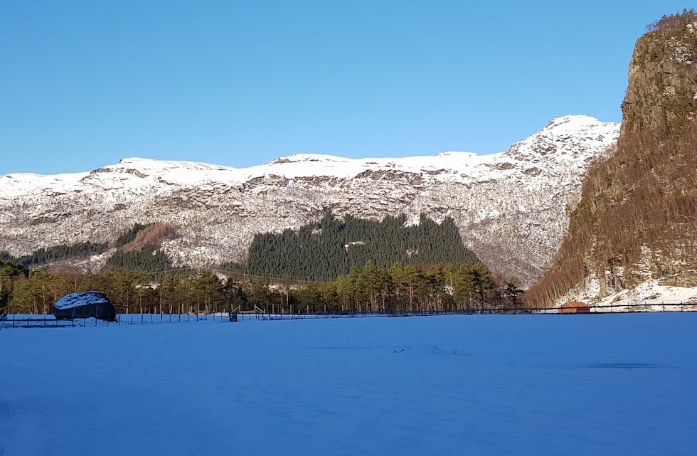 Klar vinterdag på Fjellgardane i Vikedal.
Foto: Wenche Sandbekken Lilleland