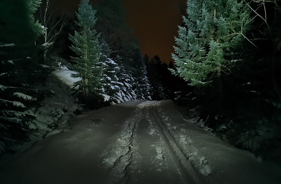 Frå ein kveldstur på ski til Holmavatnet i Skjold, med ei god hovudlykt.
Foto: Sigbjørn Mortveit