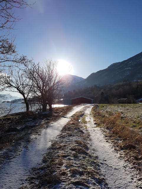 Vinter på Stavanes ved Ølsfjorden. Sundagstur i sol.
Foto: Asbjørg Heggø
