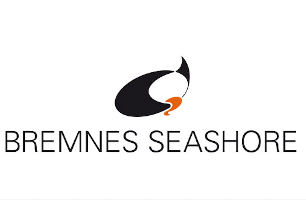 Bremnes Seashore logo