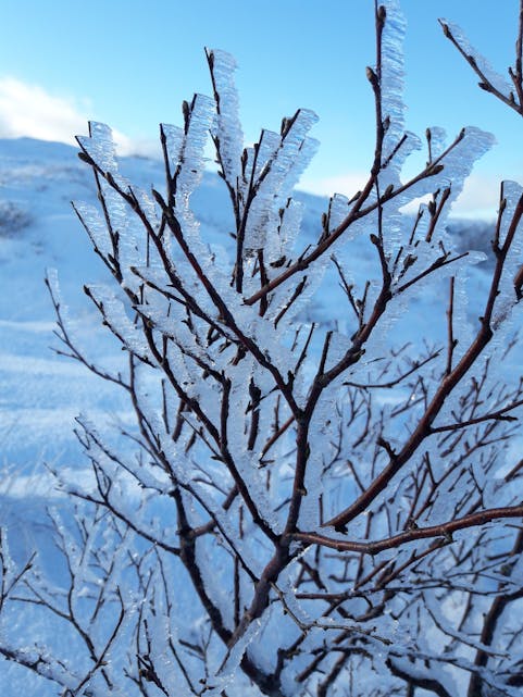 Vinterleg på Roatoppen denne dagen i februar.
Foto: Hanne Eikjeland