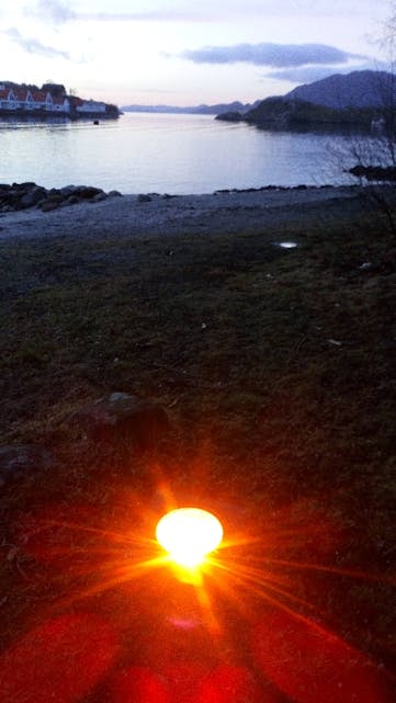  Vintersola kviler på Peparen i Skånevik. 
Foto: Leif Arne Løvereide 
