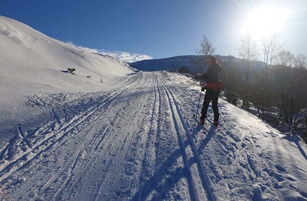 Å gå på tur til fots, eller på ski er den føretrekte aktiviteten hos Ola Nordmann. Her er eit vinterbilde frå turen mot Olalia. 
Foto: Liv Matre