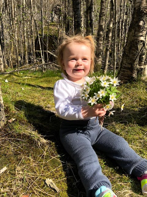Vilde Grønstad plukka med seg masse kvitveis på påskeferie på Mosnes i Åkrafjorden. 
Foto: Lene Lundal Berge