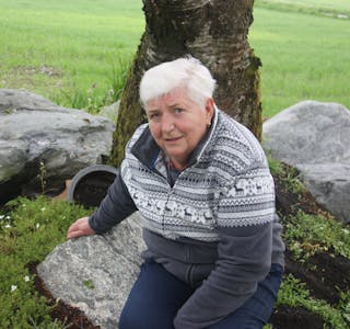 Ei gamal trerot under sin stor stein er bustad for mange av humlene i hagen til Joveig Håheim i Etne.
Foto: Irene Mæland Haraldsen