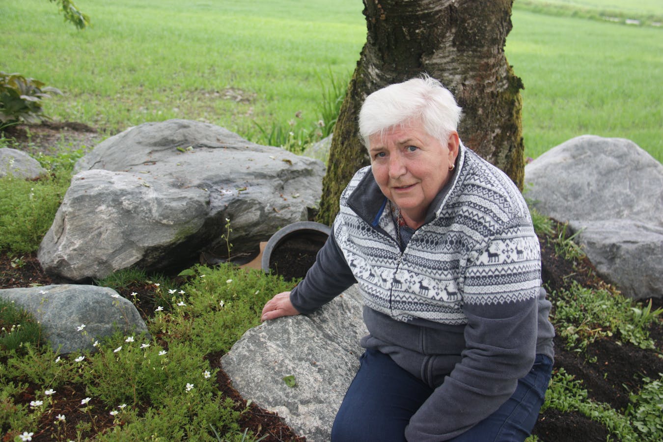 Ei gamal trerot under sin stor stein er bustad for mange av humlene i hagen til Joveig Håheim i Etne.
Foto: Irene Mæland Haraldsen