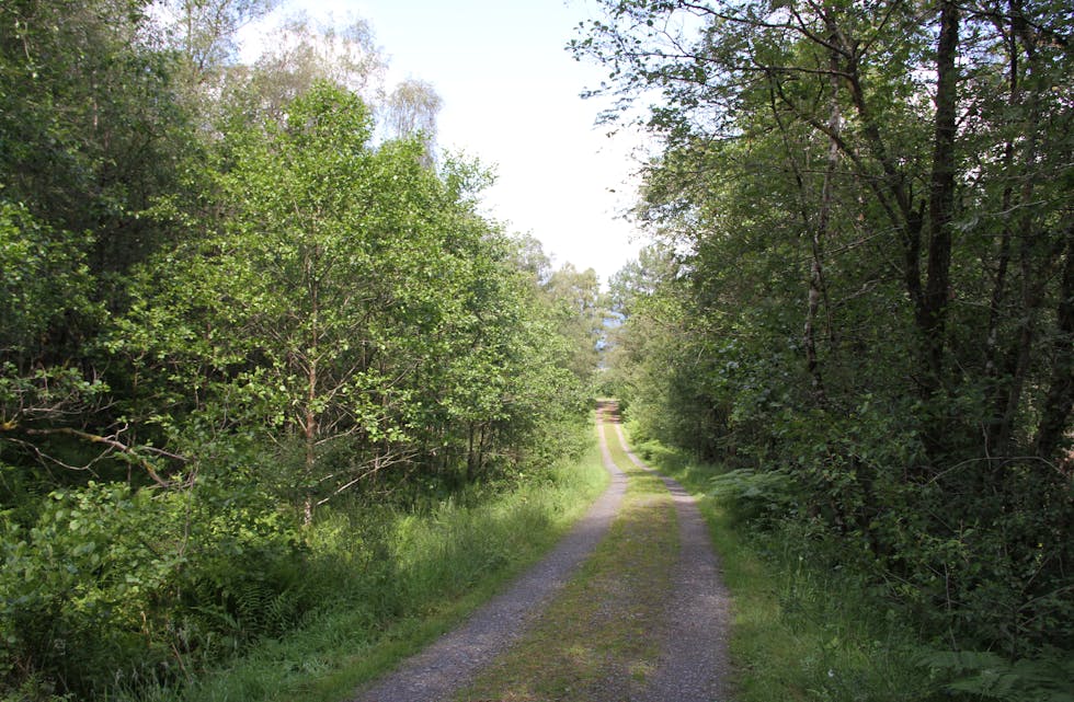 Denne vegen går midt inne i Vedvika naturreservat på Bjoa. 
Arkivfoto: Øystein Silde Frønsdal