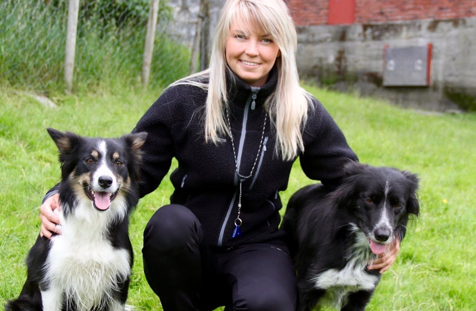 Border colliane Saga (t.v) og Iris er to av hundane til  Jane Espevoll som driv med gjetarhundkonkurranse. 
Arkivfoto