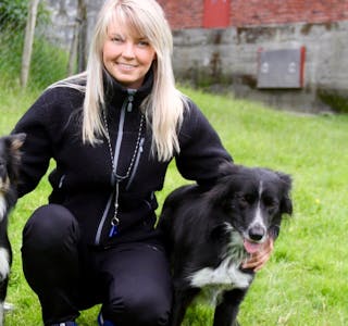 Border colliane Saga (t.v) og Iris er to av hundane til  Jane Espevoll som driv med gjetarhundkonkurranse. 
Arkivfoto