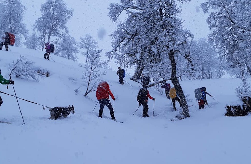 Turfølgjet under leiing av Harald Selsås hadde mykje snu under skia på veg til Simlebu.
Foto: Privat