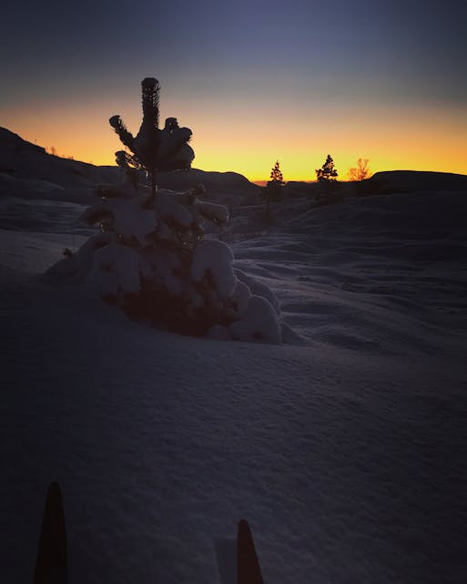 Magisk kveldstur på ski til Olalia.
Foto: Line Njåstad