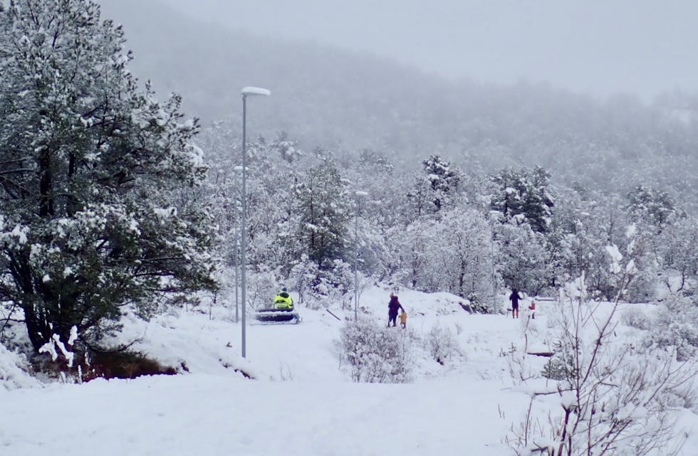 Slik såg det ut frå Opheim og innover i går med scooter som køyrde opp løypa og skigåarar i traseen. Foto: Tor Andre Johannessen