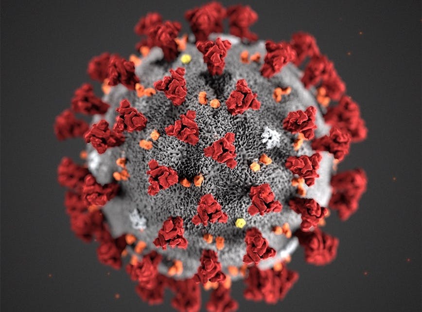Koronaviruset spreier seg til stadig nye delar av landet. 
Illustrasjon: Folkehelseinsituttet
