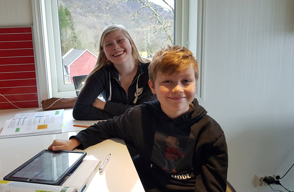 Sina Marie (15) og Tage Johannes (10) Eljervik frå Skånevik synest det går greitt å ha heimeundervisning.
Foto: Privat