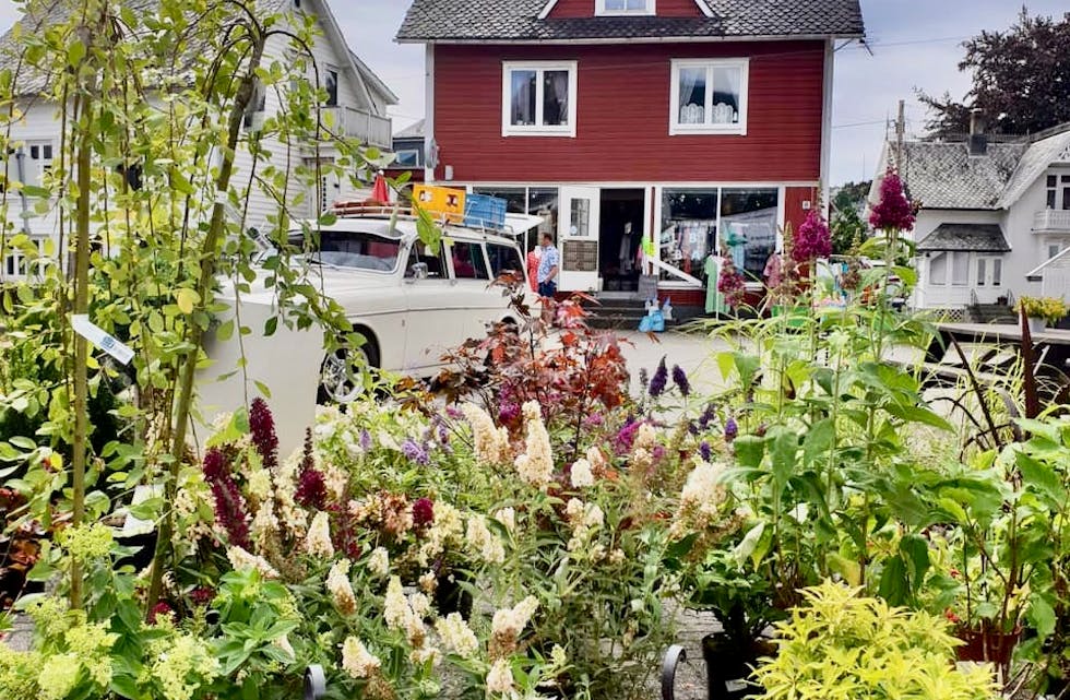 Torget i Etne blir laurdag arena for ein stor marknadsdag.
Foto: Privat