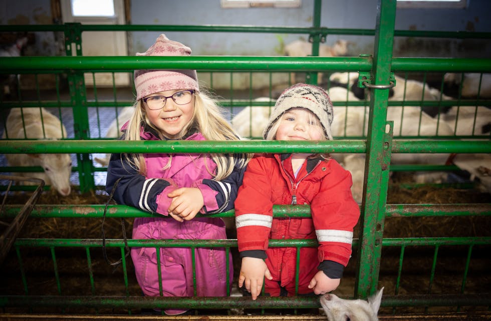 Storesøster Anna (6 år, t.v.) og Petra Frette Nordgård (2) synest det er kjekt å kosa med dei små kjea, som har meldt sin ankomst på garden dei siste vekene.  