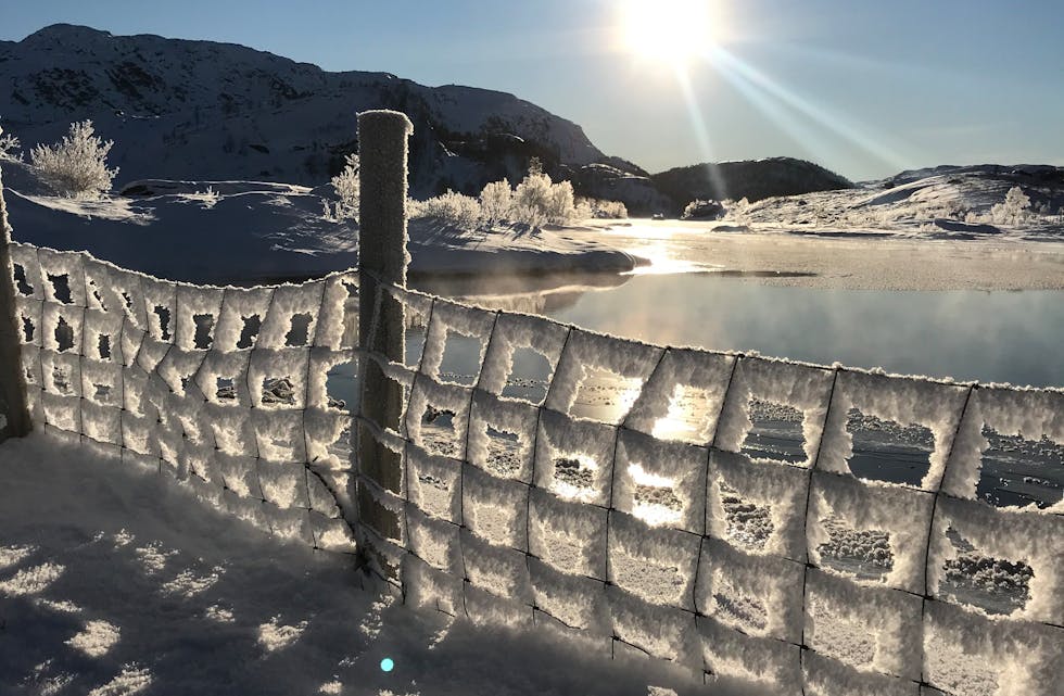 Hjørnåsvatnet i vinterdrakt.
Foto: Line Njåstad