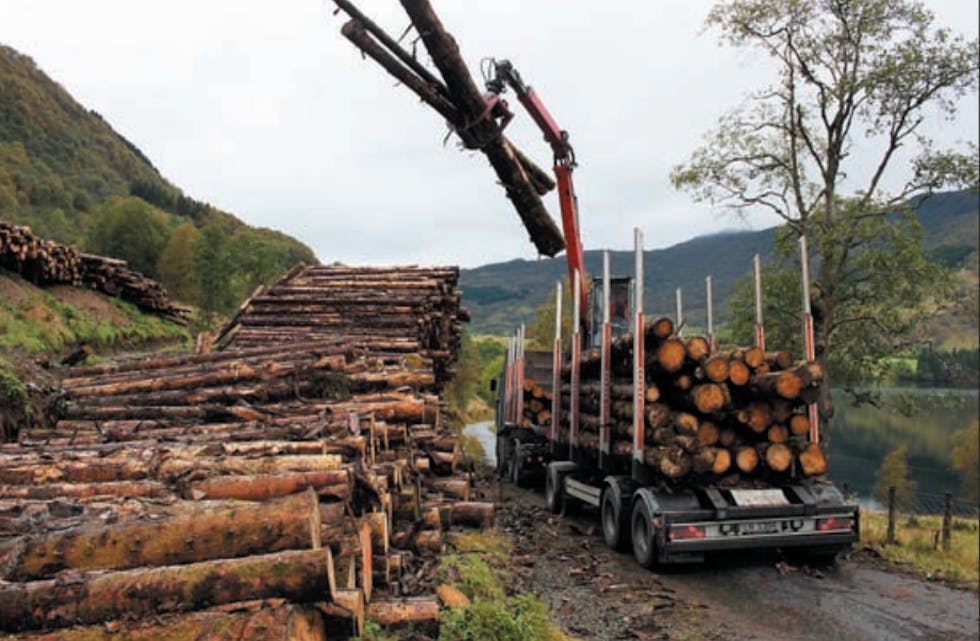 Dispensasjonen Nortømmer AS fekk for nokre år sidan,  til å køyra ut tømmer på den kommunale Kvammenvegen i Etne gjaldt opptil 8 tonn aksellast, ikkje 10 tonn
slik selskapet ønskte. Det fordyra transporten for Nordtømmer. 