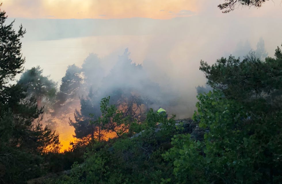 FNs klimapanel (IPCC) meiner den menneskeskapte globale oppvarminga har auka skogbrannfaren. Illustrasjonsfoto: Tor Aage Hansen / NTB / NPK