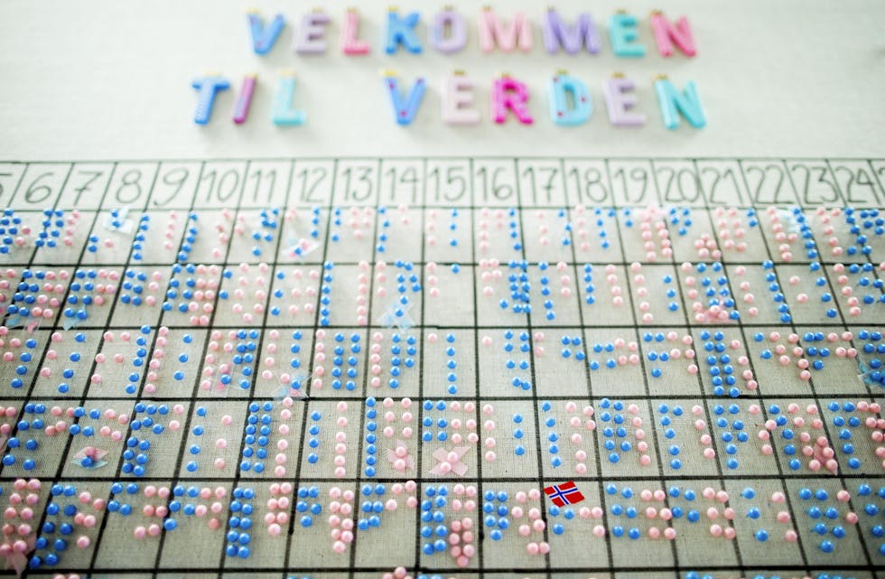 Mange knappenåler på veggen som viser oversikt over nyfødde barn ved fødeavdeling B på Akershus universitetssjukehus. Foto: Vegard Wivestad Grøtt / NTB / NPK
