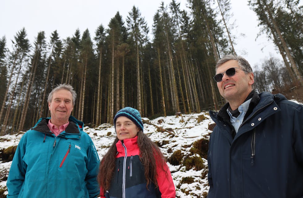 Per Martin Kjellesvik (f.v.) tok Annbjørg Bue og Eivind Vik med på tur i skogen sin. 
Foto: Svein-Erik Larsen
