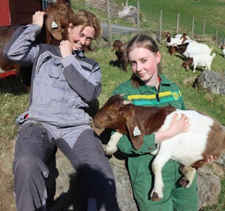 Heidi Silgjerd og dottera Thea Silgjerd Sandvik stortrivst med boergeitene på garden i Etne. 
Foto: Svein-Erik Larsen