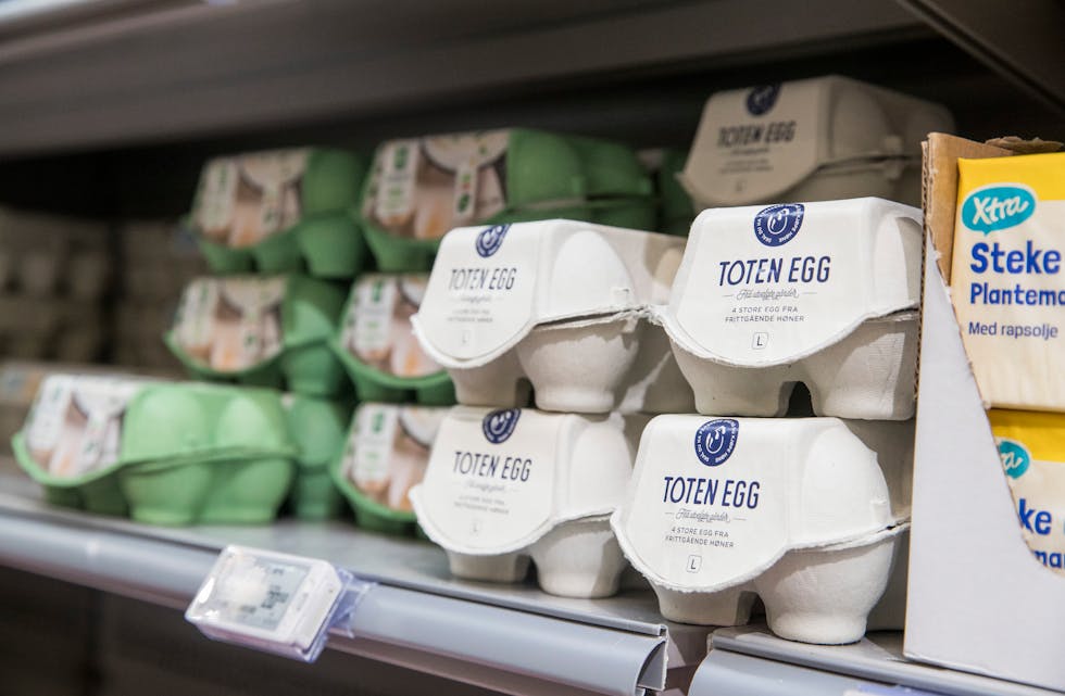 Norsk næringsliv og fleire organisasjonar fryktar at EUs nye eggregel vil svekkje den geografisk spreidde eggproduksjonen i Noreg og dessutan auke matsvinnet. Illustrasjonsfoto: Terje Pedersen / NTB / NPK
