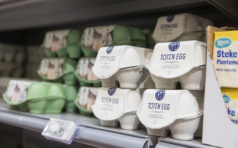 Norsk næringsliv og fleire organisasjonar fryktar at EUs nye eggregel vil svekkje den geografisk spreidde eggproduksjonen i Noreg og dessutan auke matsvinnet. Illustrasjonsfoto: Terje Pedersen / NTB / NPK