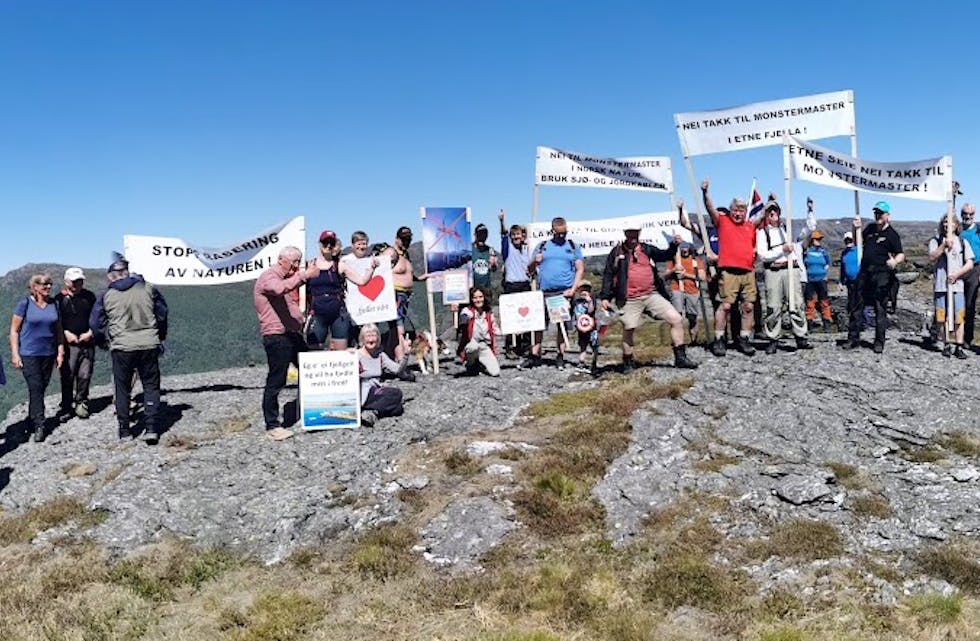 30-40 personar møtte til markering på Strype 2. pinsedag i fjor, for å markera motstand mot kraftlinjer i fjellet. 
Foto: Privat