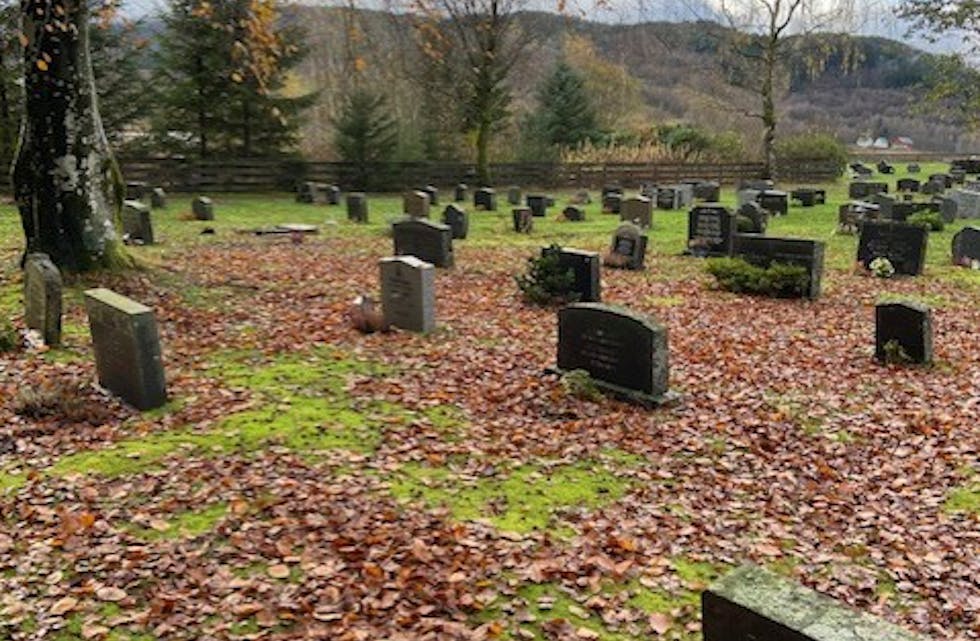 Lauv har dekkjer gravplassen og gravene på gravplassen i Ølen. Genrelt dårleg vedlikehald skapar reaksjonar hos dei som besøker gravene. Foto: Privat