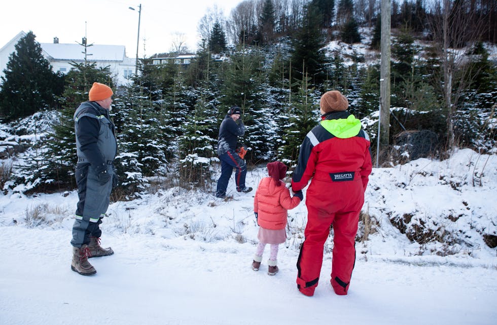 Ørjan Aksdal sager ned juletreet som Arne Joakimsen, Irene Vaka og barnebarnet, Eialin Vaka, har plukka ut. 