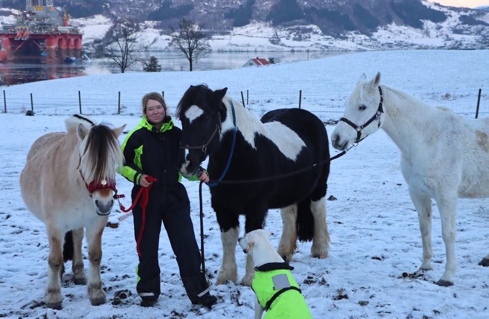 Amalie Ersland Hellås med hesteflokken heime på garden i Ølensvåg. 
Foto: Irene Mæland Haraldsen
