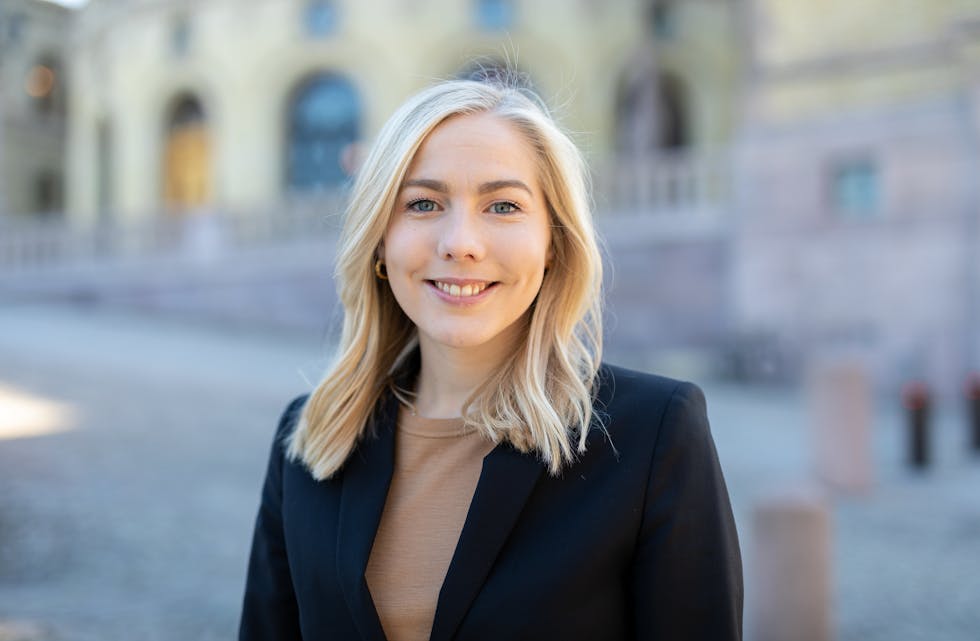 Mari Holm Lønseth, Høgres integreringspolitiske talsperson 
